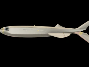 FUN FLY RC FLYING FISH GLIDER WINGSPAN 1078MM 3D Print Model