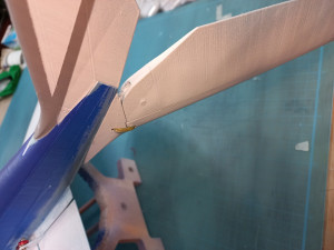 FUN FLY RC FLYING FISH GLIDER WINGSPAN 1078MM 3D Print Model