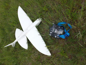 FUN FLY RC FLYING FISH GLIDER WINGSPAN 1078MM 3D Print Model