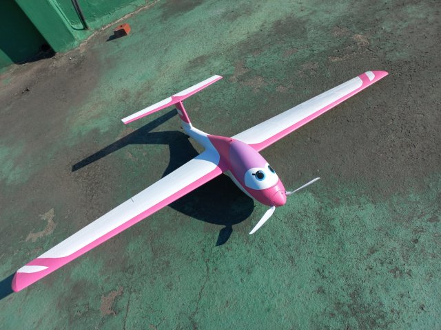 RC CARTOON SCALE MINI SAILPLANE WINGSPAN 1450MM 3D 打印模型 .c4d .max .obj .3ds .fbx .stl .blend 