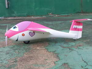 RC CARTOON SCALE MINI SAILPLANE WINGSPAN 1450MM 3D 打印模型