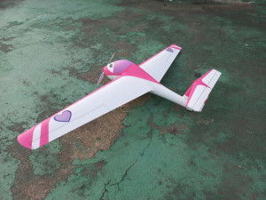 RC CARTOON SCALE MINI SAILPLANE WINGSPAN 1450MM 3D 打印模型
