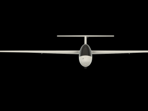 RC CARTOON SCALE MINI SAILPLANE WINGSPAN 1450MM 3D 打印模型
