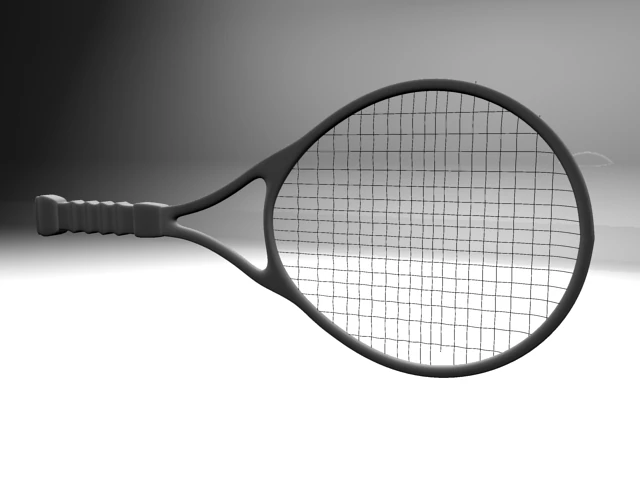 Teenis 3D Model .c4d .max .obj .3ds .fbx .stl .blend 