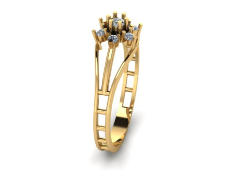Fancy ring Modelo 3D