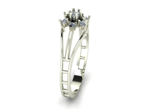 Fancy ring Modelo 3D
