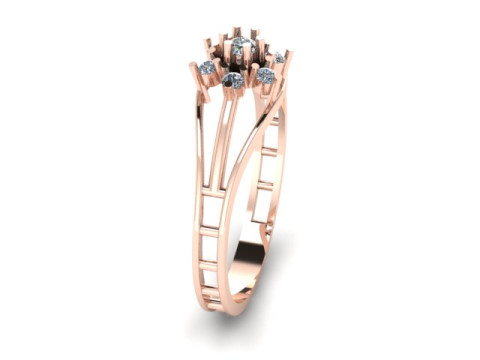 Fancy ring Modelo 3D