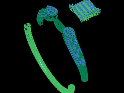 Beautyfull ring onley stl file for free download 3D Model