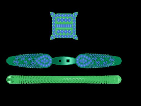 Beautyfull ring onley stl file for free download 3D Model