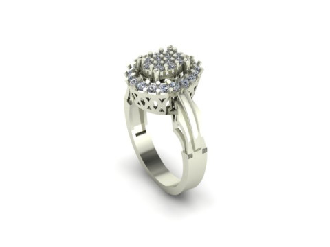 Fancy ring for dimonds Modèle 3D