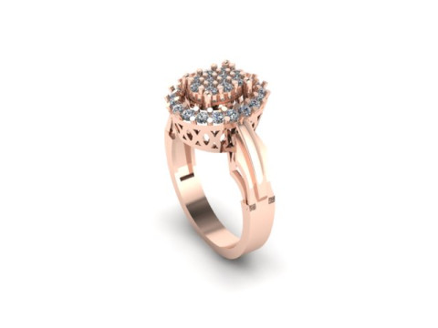 Fancy ring for dimonds Modèle 3D