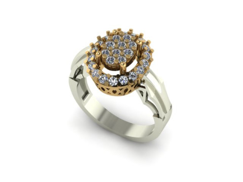Fancy ring for dimonds Modèle 3D
