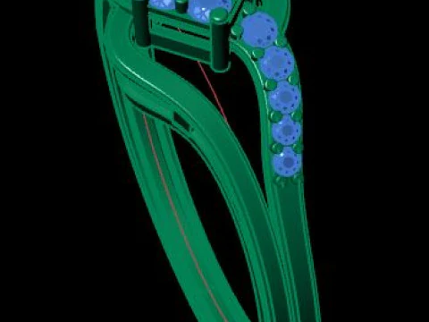Wedding ring 3D Model