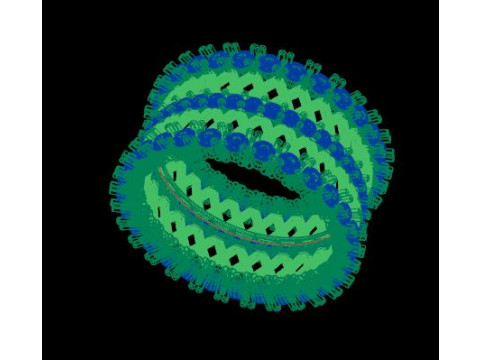 Band ring for daimonds Modelo 3D
