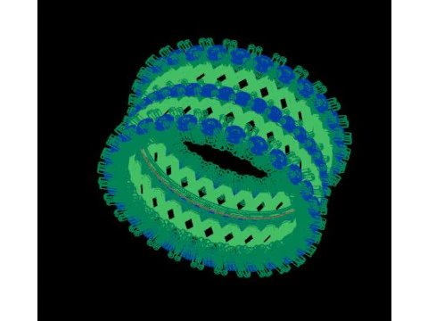 Band ring for daimonds 3D Model