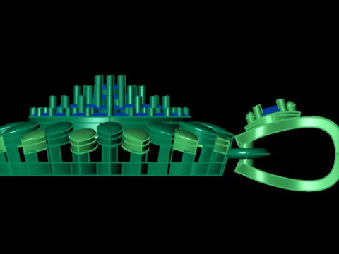 Beautifull pandent Modelo 3D