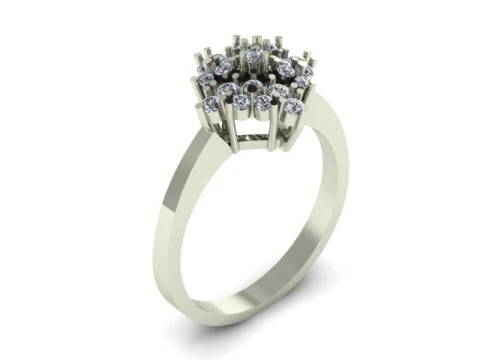 Fancy ring use for daimonds 3D Model