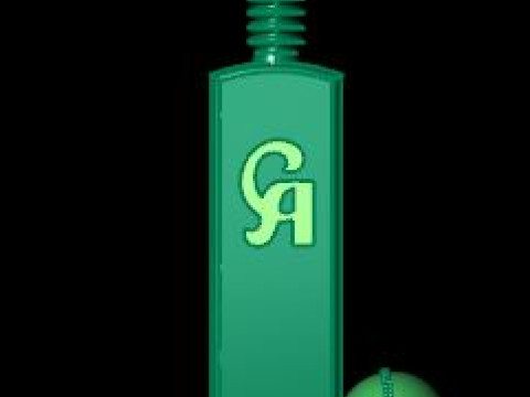 Cricket batball pandent Modello 3D
