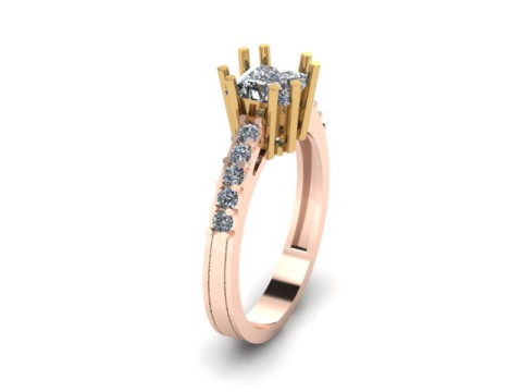 Princess Ring Modèle 3D