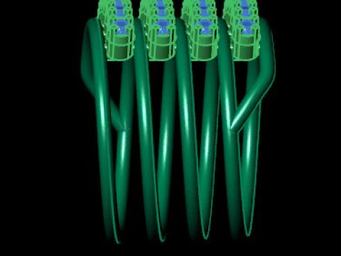 Spiral ring for daimond 3D Model