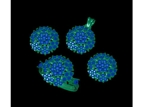 Ruby gem stone pendant set 3D Model
