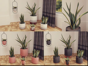 Plantas de colecci&oacute;n Snake Plants vol 01 Modelo 3D