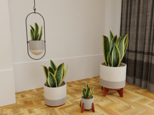 Snake Plants collection plants vol 01 3D Model