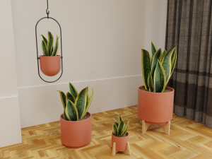 Snake Plants collection plants vol 01 3D Model