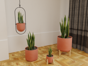Snake Plants collection plants vol 01 3D Model