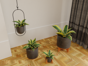 Snake Plants collection plants vol 01 3D Model