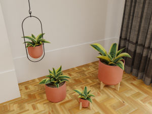 Snake Plants collection plants vol 01 3D Model