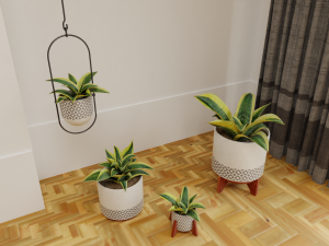 Snake Plants collection plants vol 01 3D Model