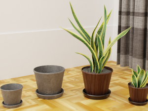Plants pots collection vol 01 Modello 3D