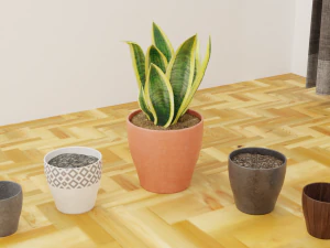 Plants pots collection vol 01 3D Model