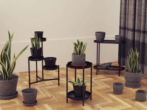 Plants pots collection vol 01 3D Model