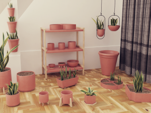 Plants pots collection vol 02 3D Model