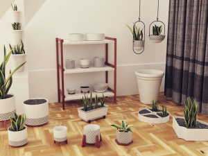 Plants pots collection vol 02 3D Model