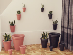 Plants pots collection vol 02 3D Model