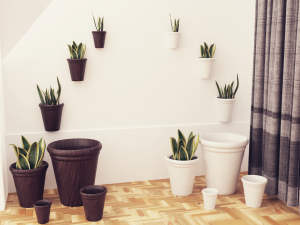 Plants pots collection vol 02 3D Model