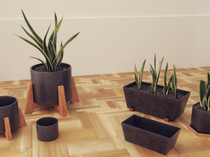 Plants pots collection vol 02 3D Model