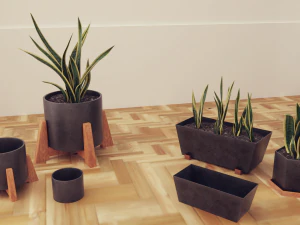Plants pots collection vol 02 3D Model