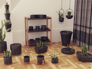 Plants pots collection vol 02 3D Model