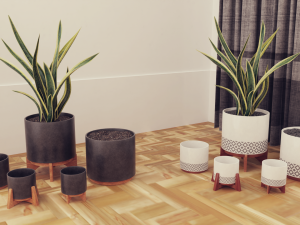 Plants pots collection vol 02 3D Model