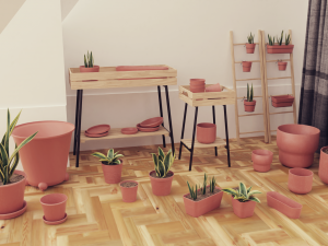 Plants Pots Collection Vol 03 3D Model