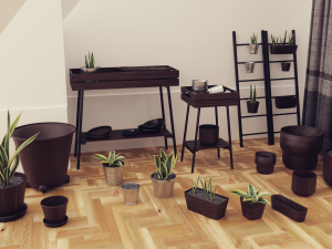 Plants Pots Collection Vol 03 3D Model
