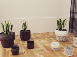 Plants Pots Collection Vol 03 3D Model