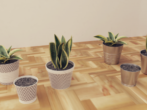 Plants Pots Collection Vol 03 3D Model