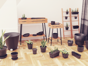 Plants Pots Collection Vol 03 3D Model