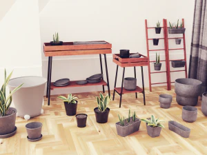 Plants Pots Collection Vol 03 3D Model