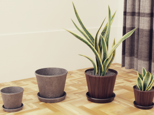 Plants Pots Collection Vol 03 3D Model